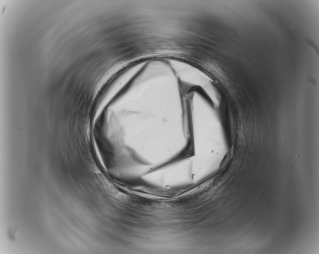 X0000101171420200807251122