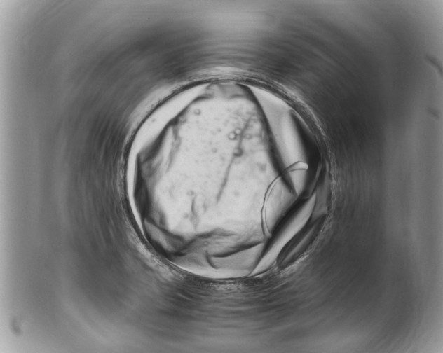 X0000101171421200807251122