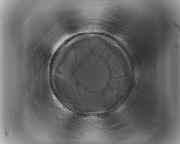 X0000101171422200807251122