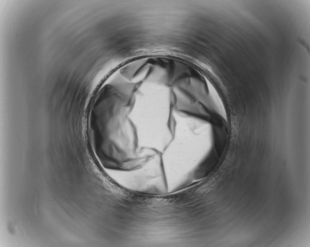 X0000101171424200807251123