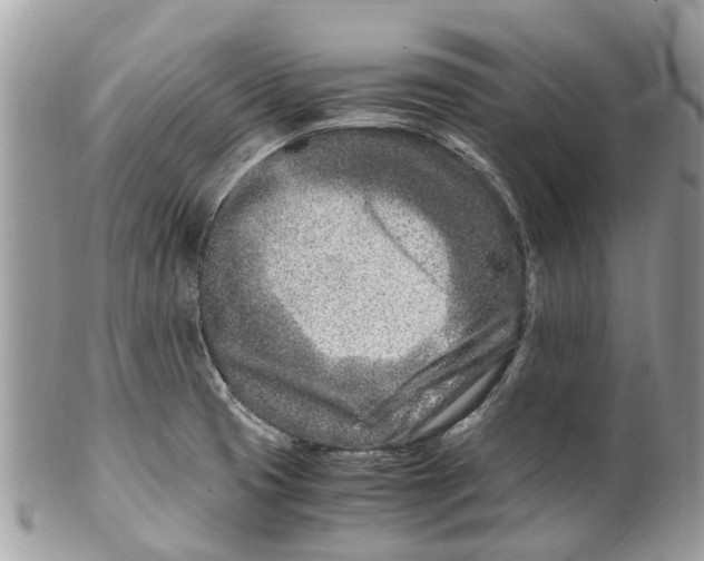 X0000101171425200807251123