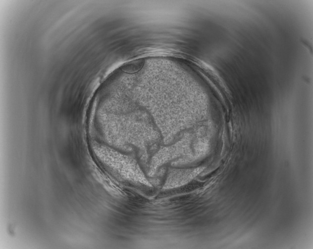 X0000101171427200807251123