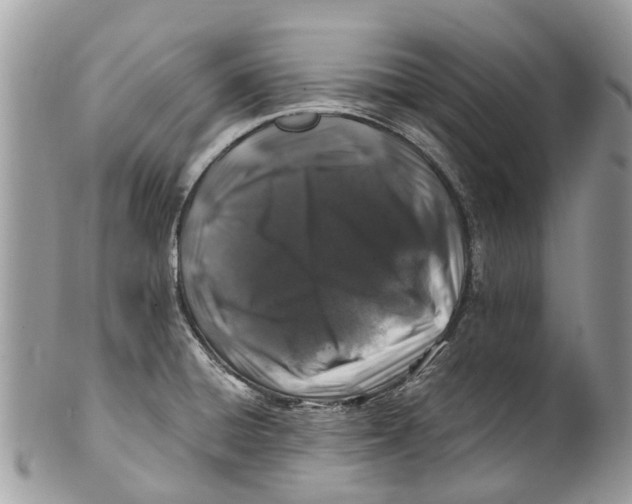 X0000101171428200807251123