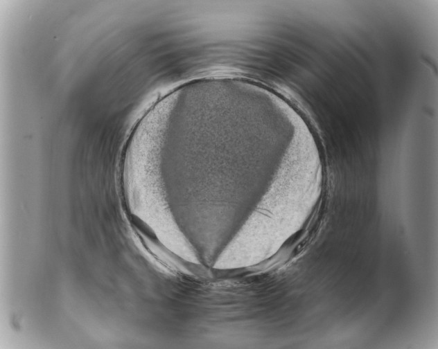 X0000101171429200807251123