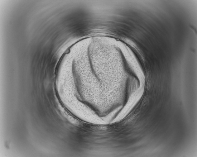 X0000101171431200807251123