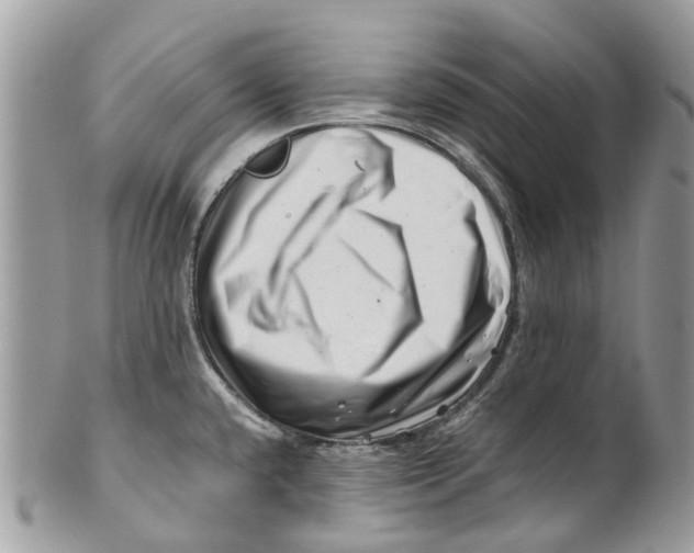 X0000101171432200807251123