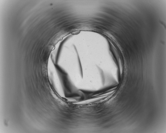 X0000101171433200807251123