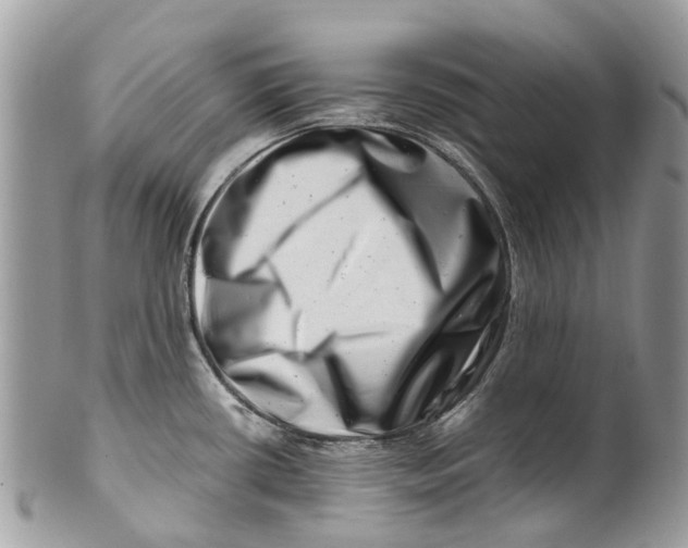 X0000101171434200807251123