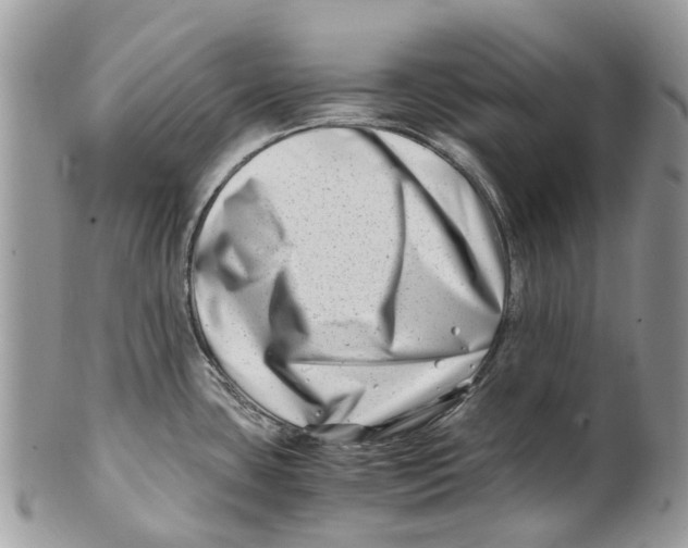 X0000101171435200807251123