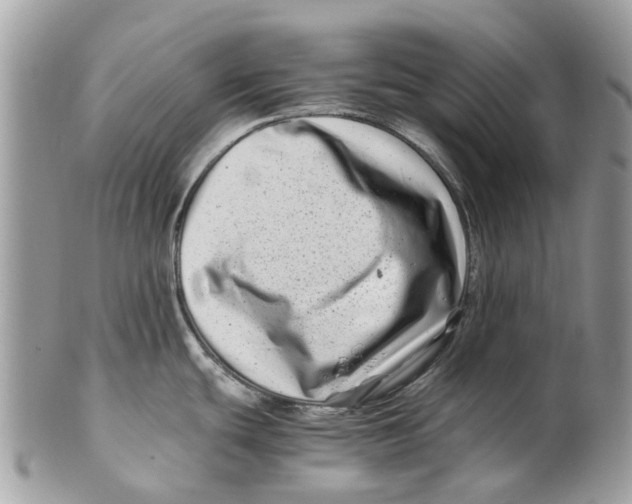 X0000101171439200807251123
