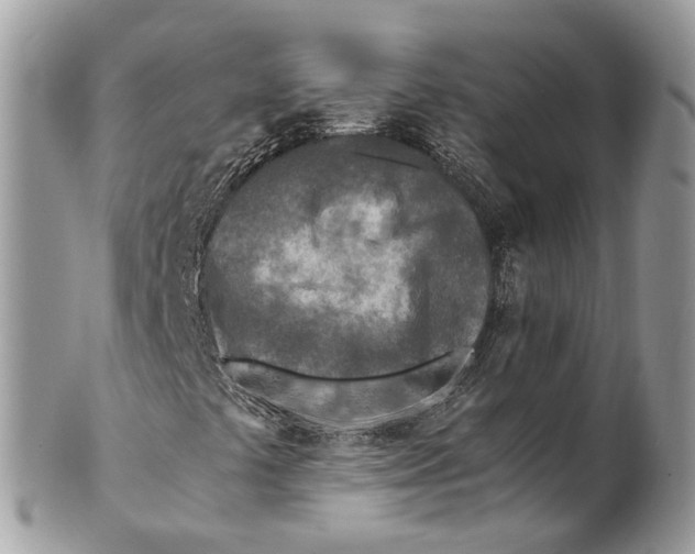 X0000101171441200807251122