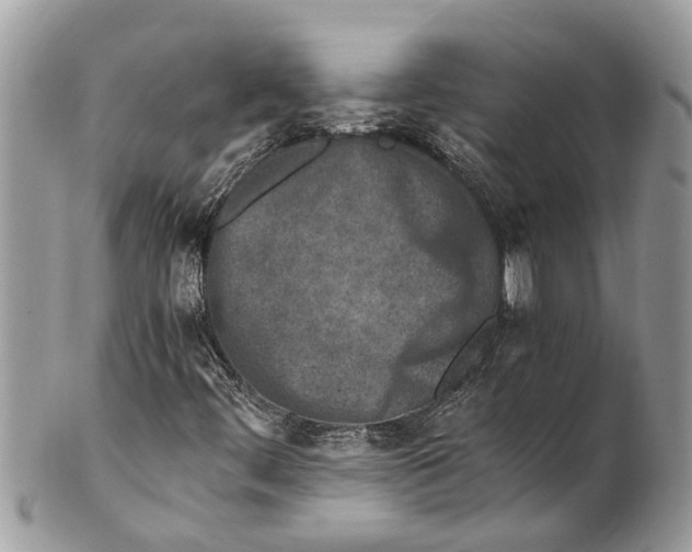 X0000101171444200807251122
