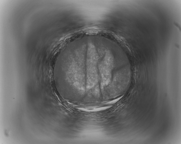 X0000101171445200807251122