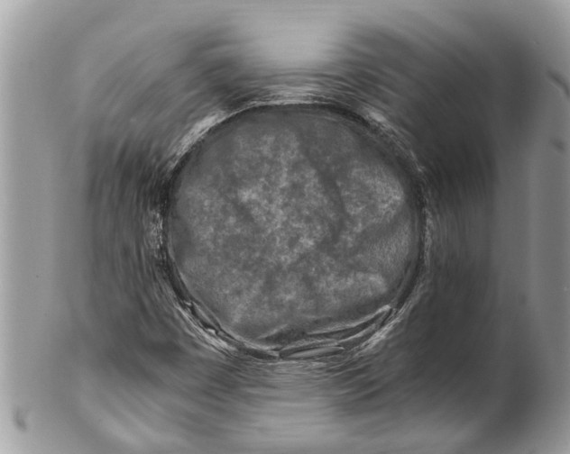 X0000101171449200807251122