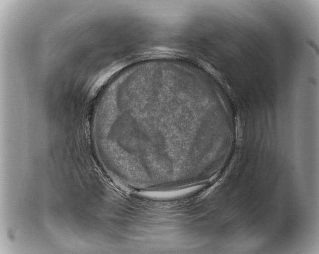 X0000101171453200807251122