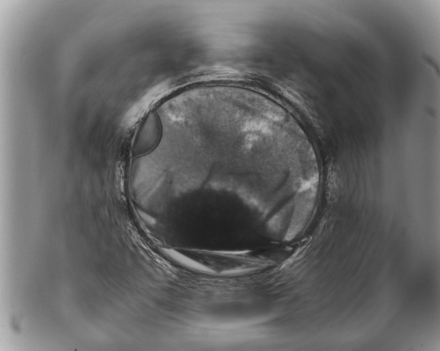 X0000101171455200807251122