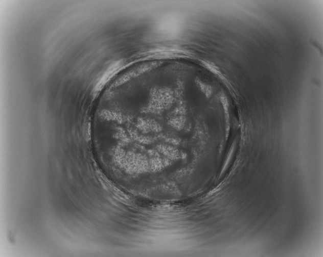 X0000101171459200807251122