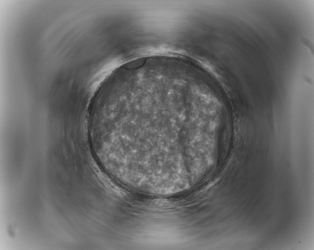 X0000101171463200807251122