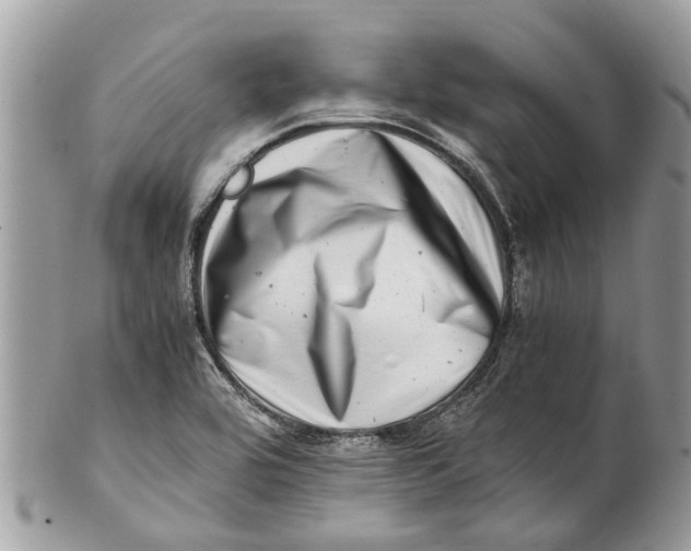 X0000101171464200807251122