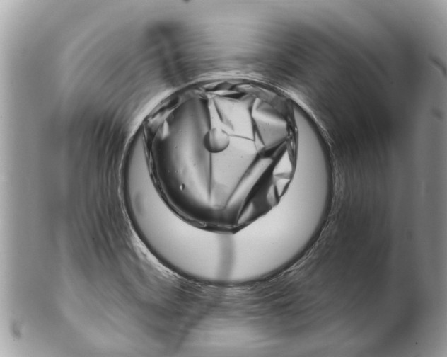X0000101171468200807251122