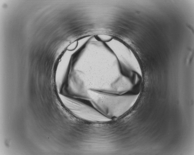X0000101171469200807251122