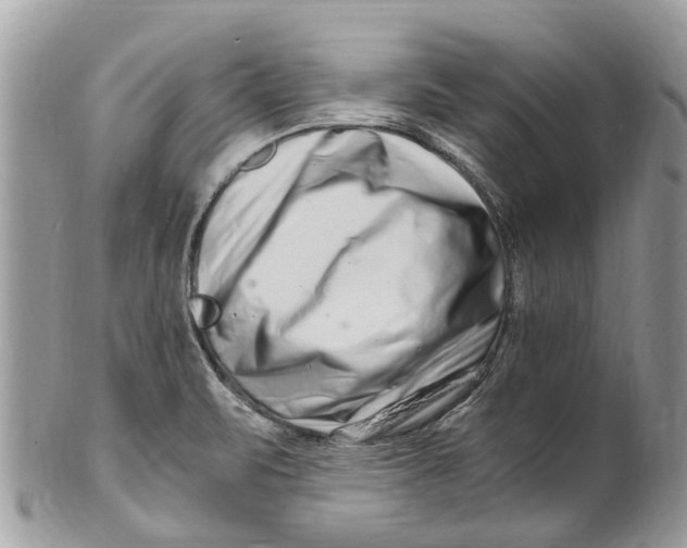 X0000101171471200807251122