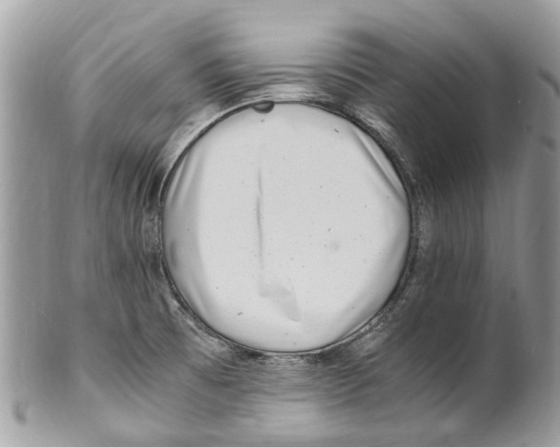X0000101171473200807251122