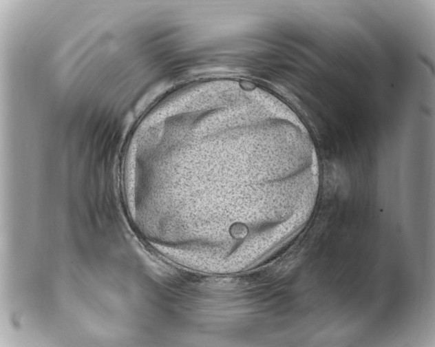X0000101171474200807251122