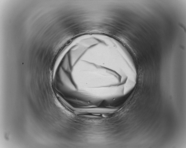 X0000101171476200807251122
