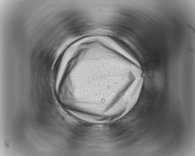 X0000101171478200807251122