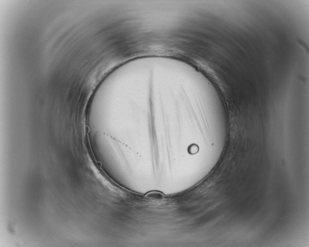 X0000101171479200807251122