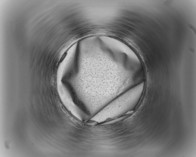 X0000101171481200807251122