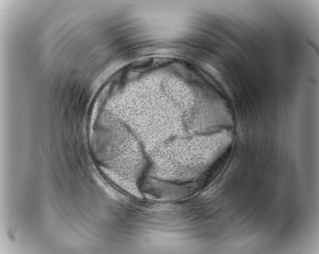 X0000101171482200807251122