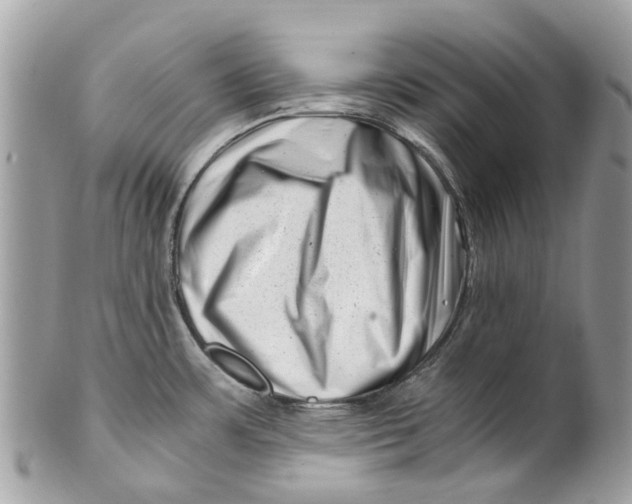 X0000101171483200807251121