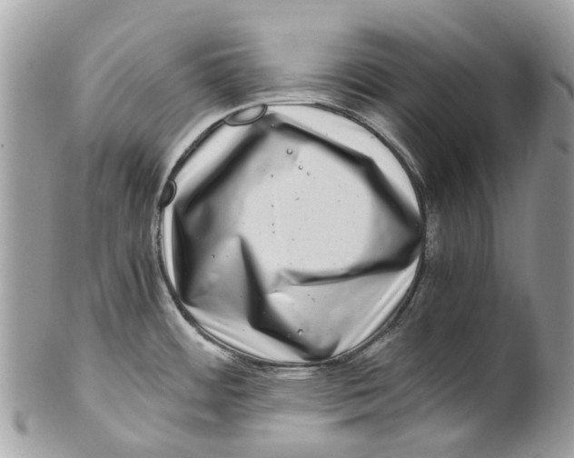 X0000101171484200807251121