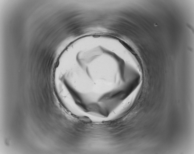 X0000101171488200807251121