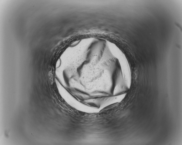 X0000101171493200807251121