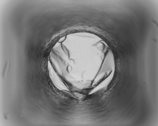 X0000101171494200807251121