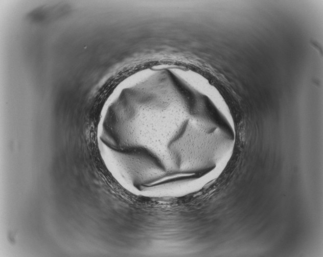 X0000101171495200807251121