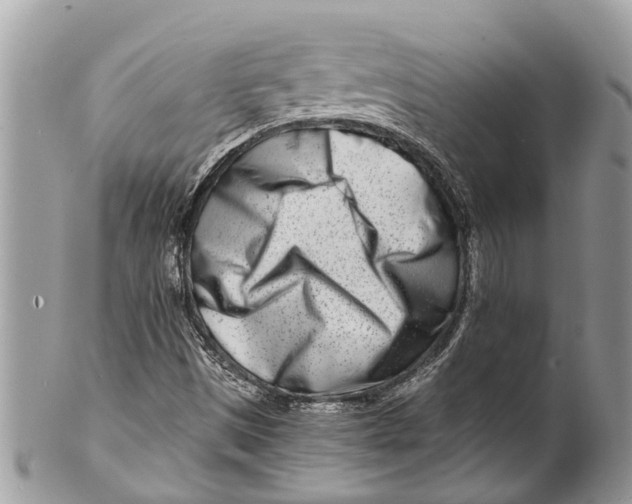 X0000101171497200807251121