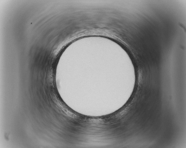 X0000101171498200807251121