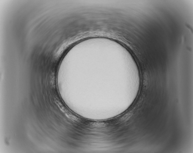 X0000101171499200807251121