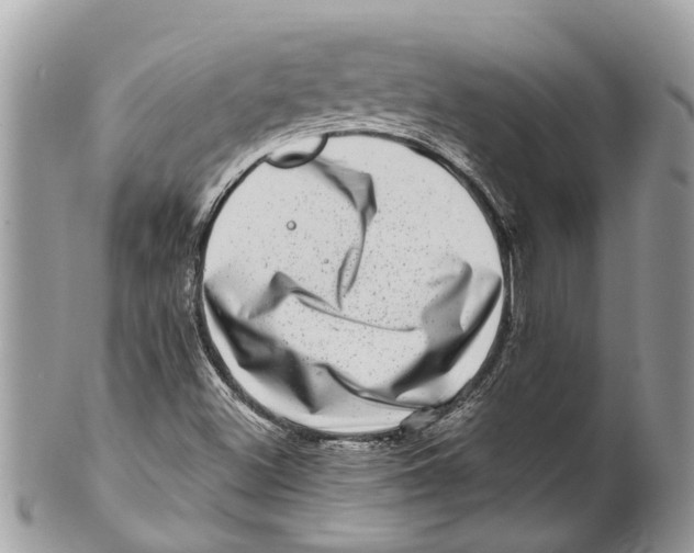 X0000101171500200807251121