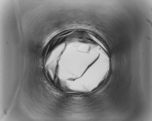 X0000101171501200807251121