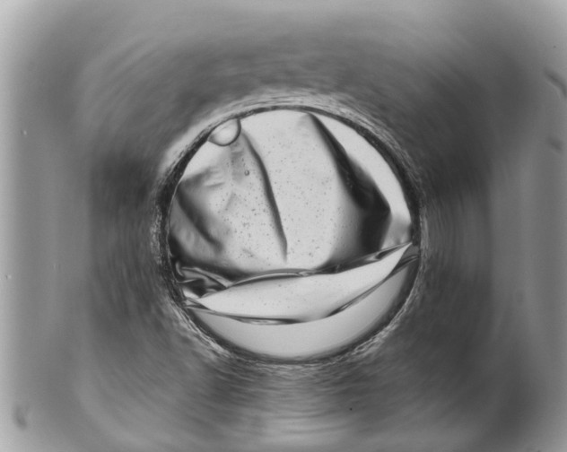 X0000101171502200807251121