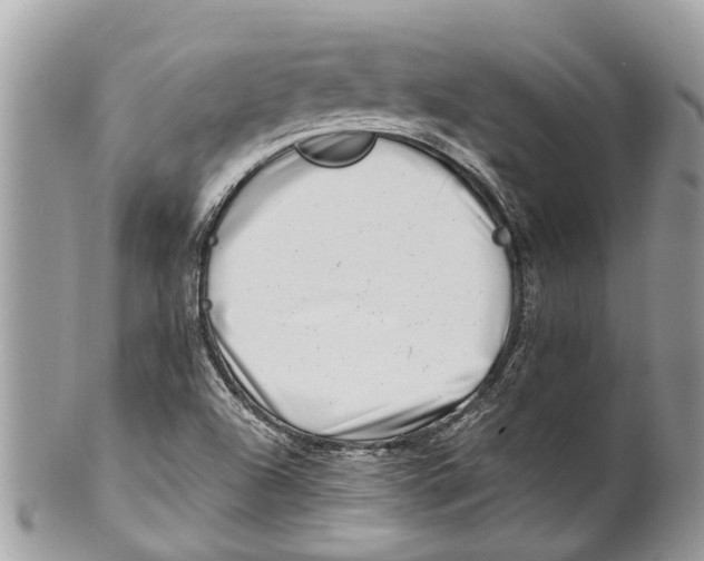 X0000101171504200807251121
