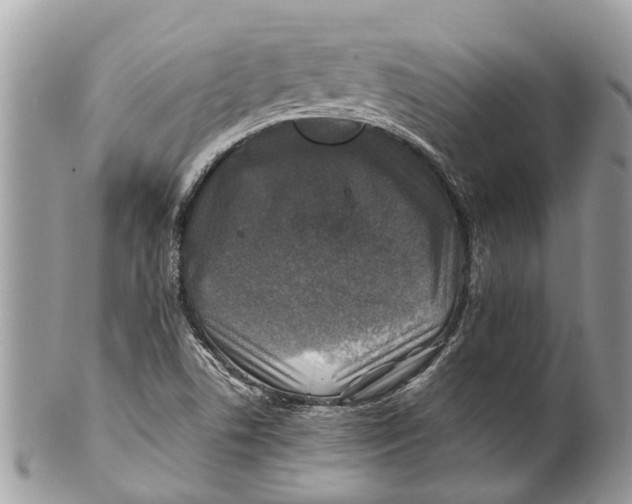 X0000101171506200807251121