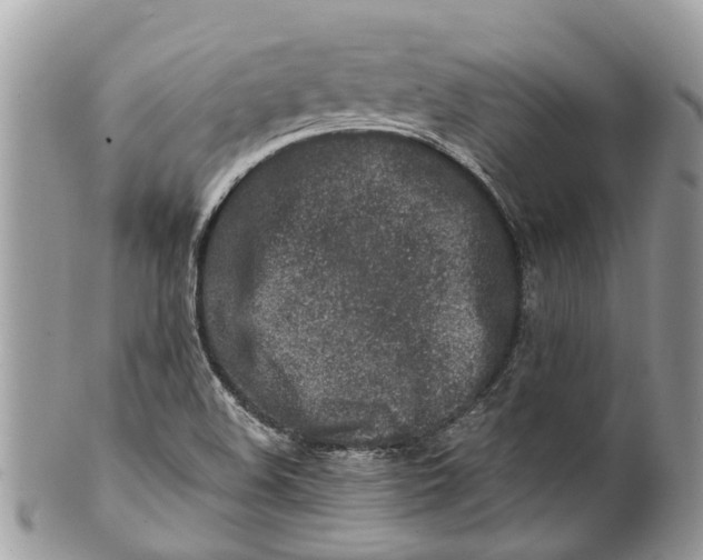 X0000101171508200807251121