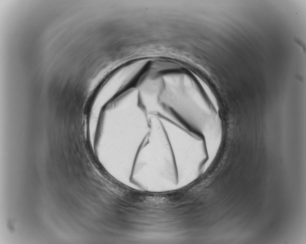 X0000101171509200807251121