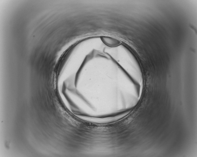 X0000101171510200807251121
